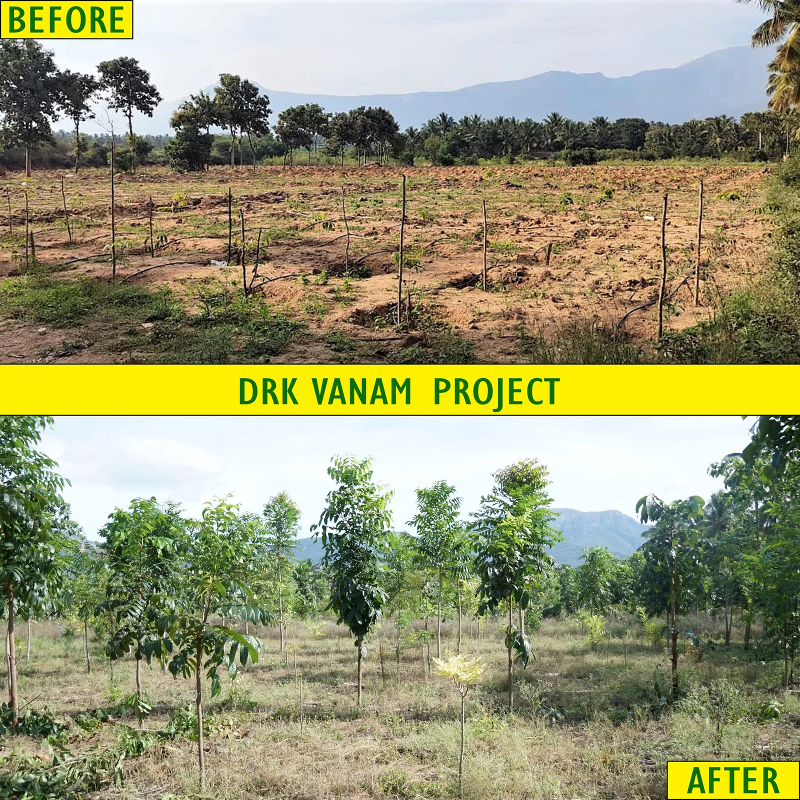 DRK Vanam Native Afforestation