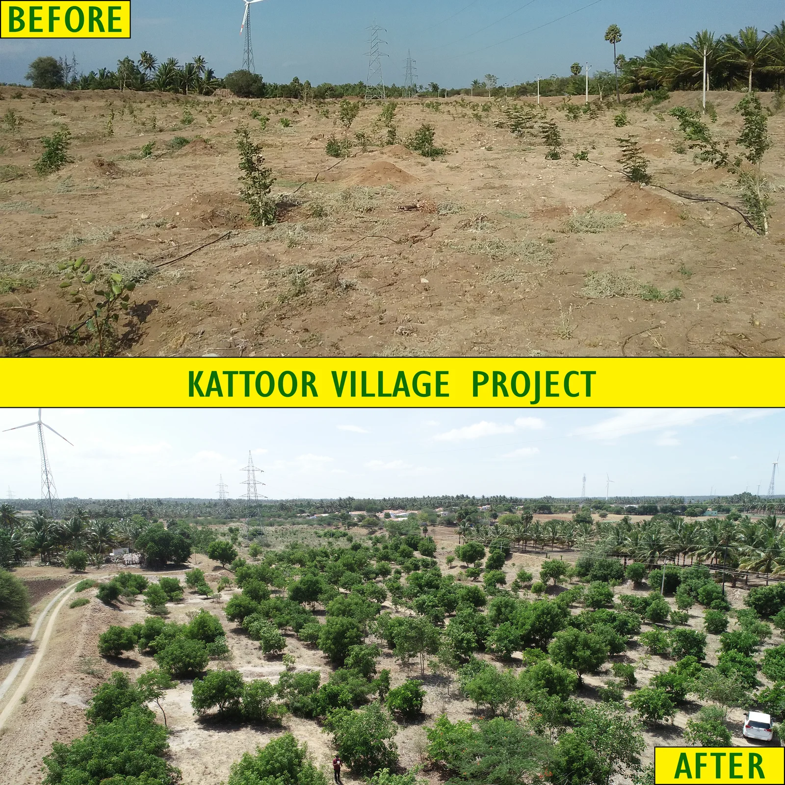Kattoor Village Green Buffer Zone