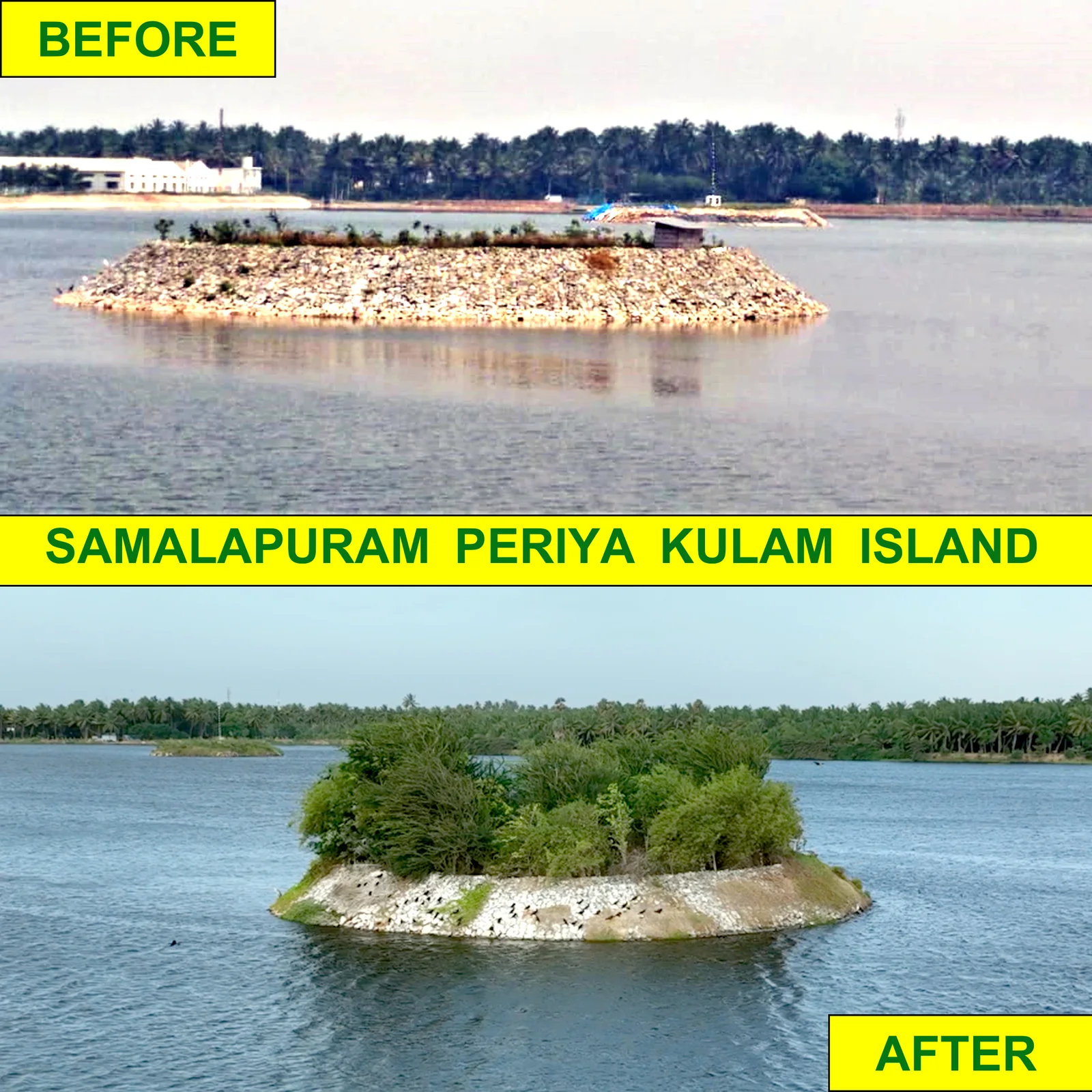 Samalapuram Periya Kulam Island Revival